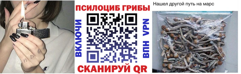 Псилоцибиновые грибы ЛСД  Юрьевец 